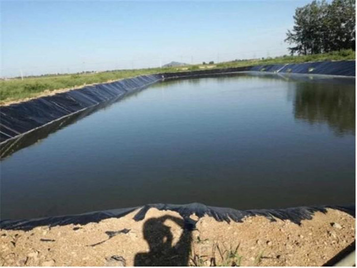 魚塘藕池防滲膜怎樣選擇